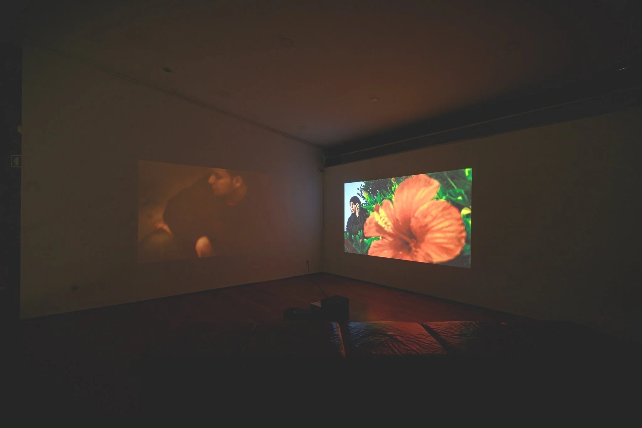 Exhibitions | Laura El-Tantawy — LAURA EL-TANTAWY